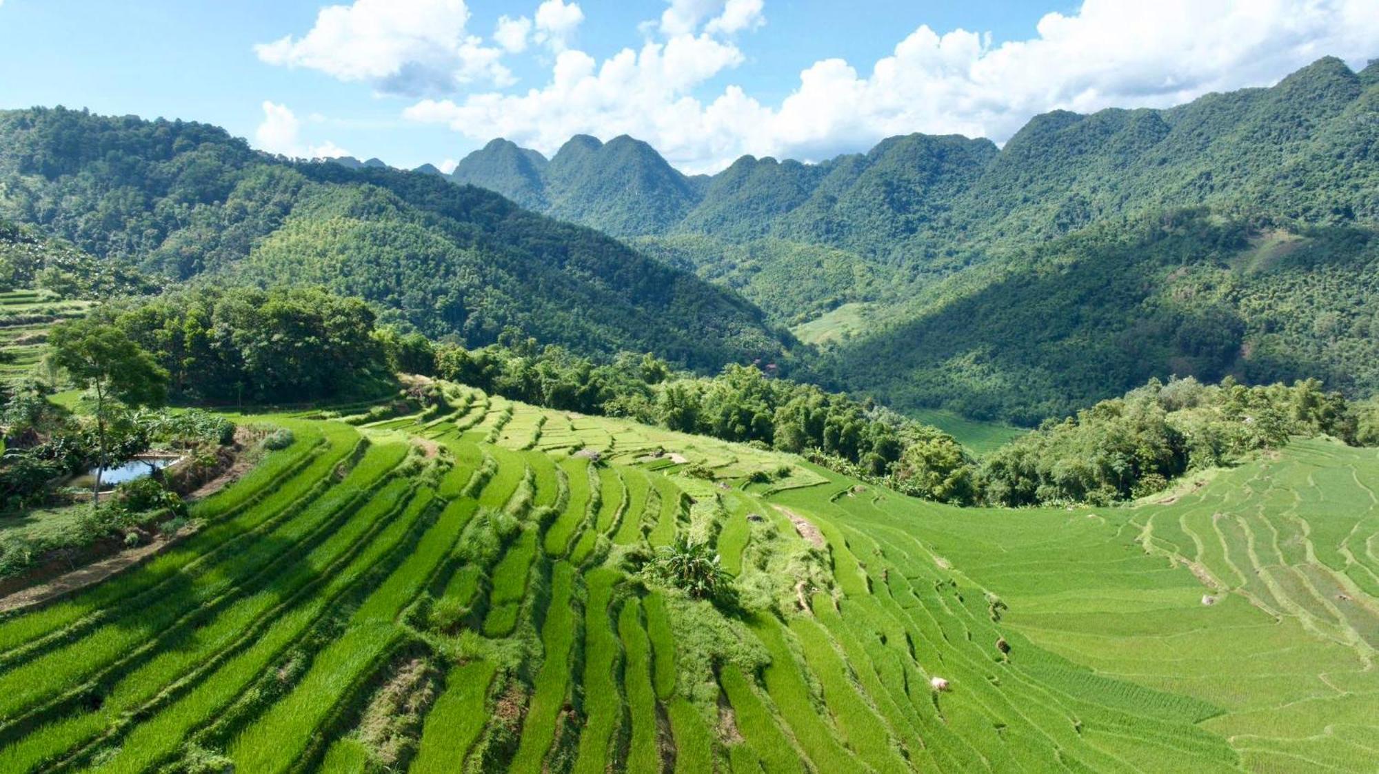 Pu Luong Eco Garden Hotel Buitenkant foto
